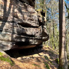 24-02-29 13-53-24 8850